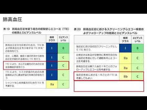 年改訂版 循環器超音波検査の適応と判読ガイドライン.